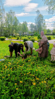 Международная акция «Сирень Победы» Международная акция «Сирень Победы».